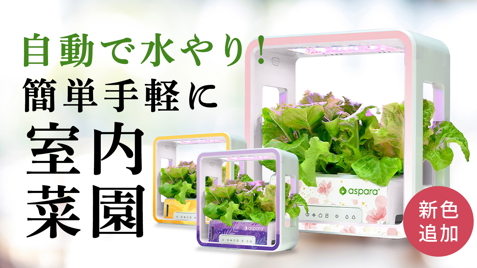室内菜園の手軽さを伝えるMakuakeメインビジュアル